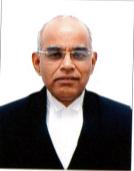 Hon'ble Mr. Justice A.V.Chandrashekara