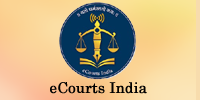 e courts